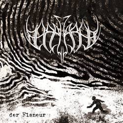 Nebelkrähe : Der Flaneur